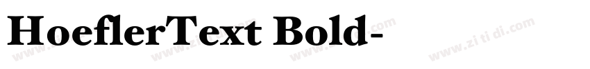 HoeflerText Bold字体转换